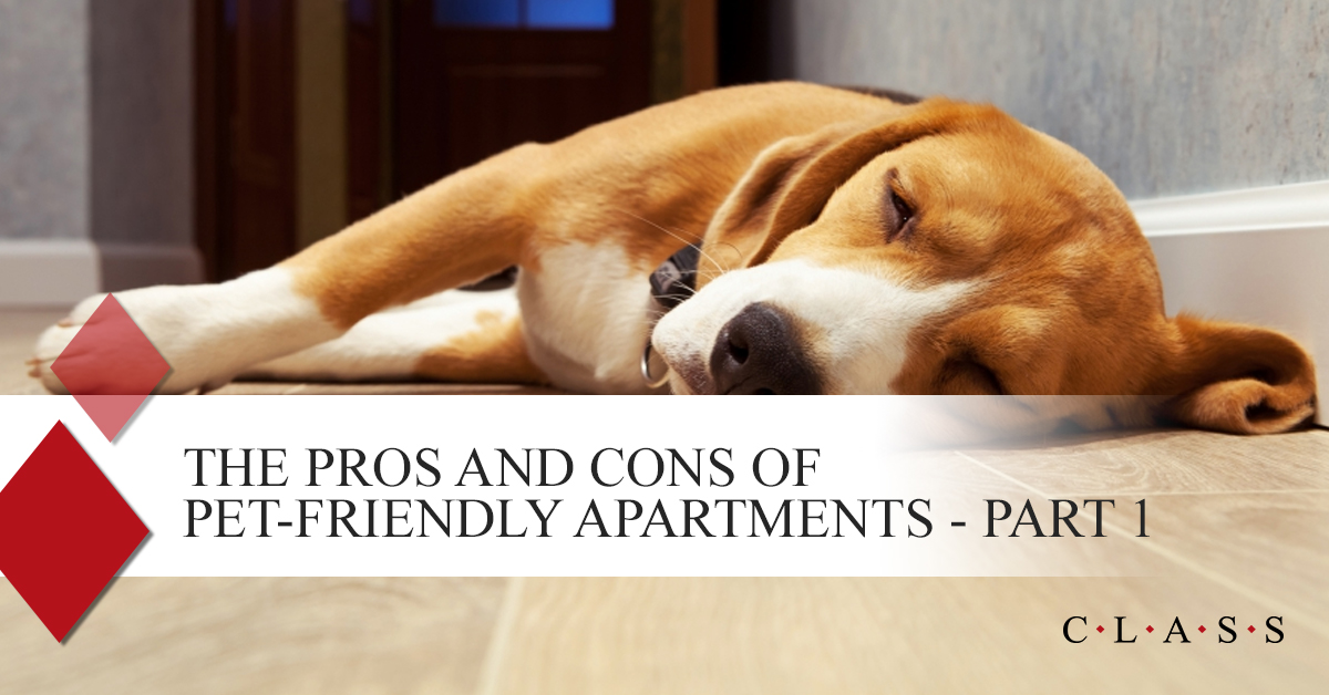 Finding pet friendly apartments with no pet fees